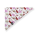 BANDANA DINA